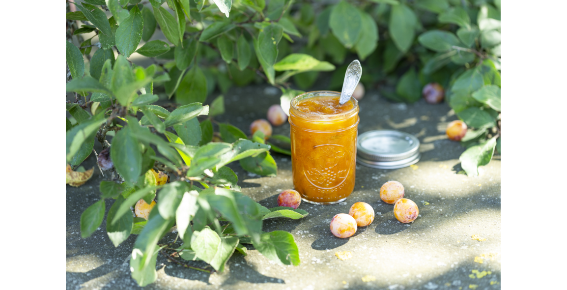 Jam with mirabelle and bourbon vanilla
